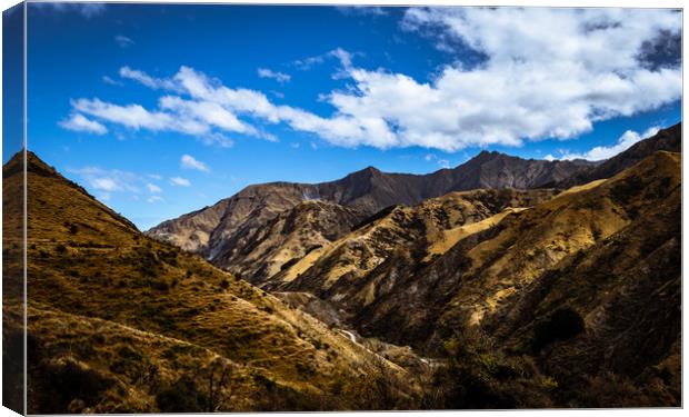 Rugged New Zealand  Canvas Print by Renato Junior