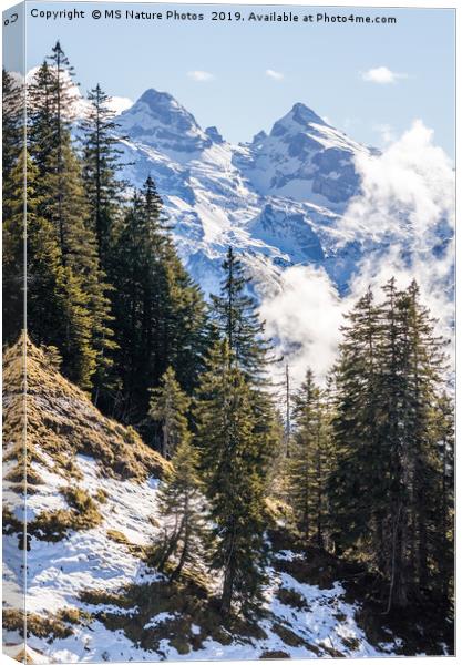 Swiss Alps Canvas Print by Mike C.S.
