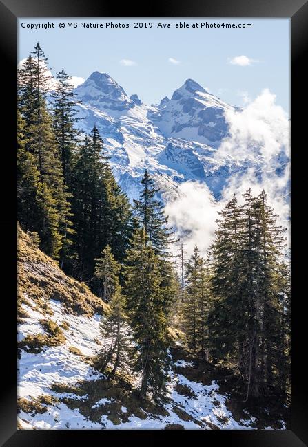 Swiss Alps Framed Print by Mike C.S.