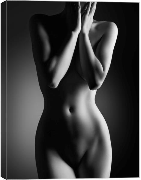 Nude woman bodyscape 24 Canvas Print by Johan Swanepoel