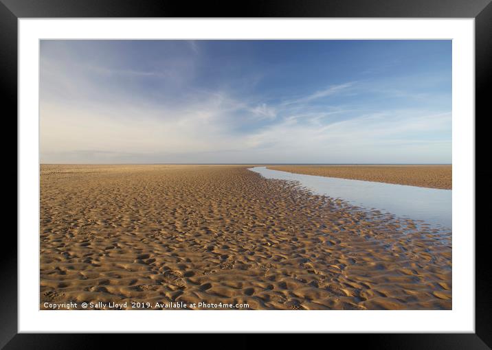 Into the distance at Holkham Norfolk  Framed Mounted Print by Sally Lloyd