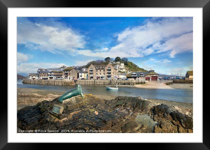 View of Nelson the seal across The River Looe  Framed Mounted Print by Rosie Spooner