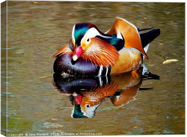 Mandarin Reflection Canvas Print by Jane Metters