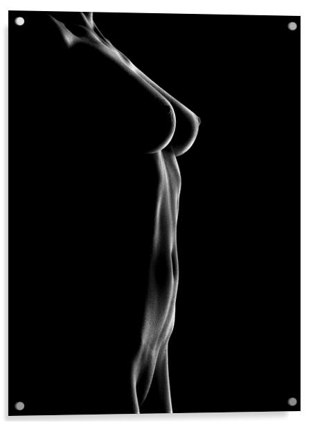 Nude woman bodyscape 25 Acrylic by Johan Swanepoel