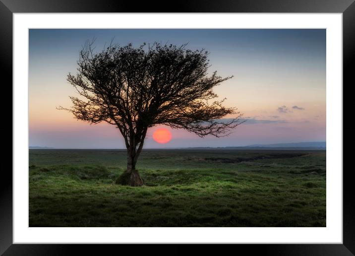 Sunset at Penclawdd estuary Framed Mounted Print by Leighton Collins