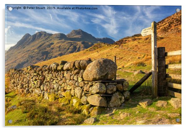The Langdale Pike Acrylic by Peter Stuart