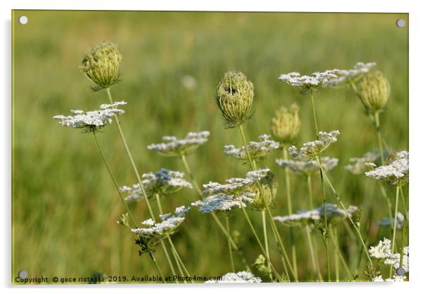 wild flowers meadow spring season Acrylic by goce risteski