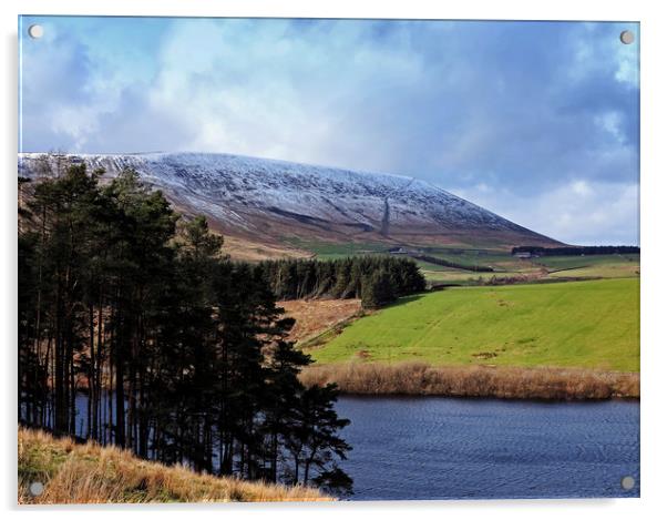 The side of Pendle Hill Acrylic by David McCulloch