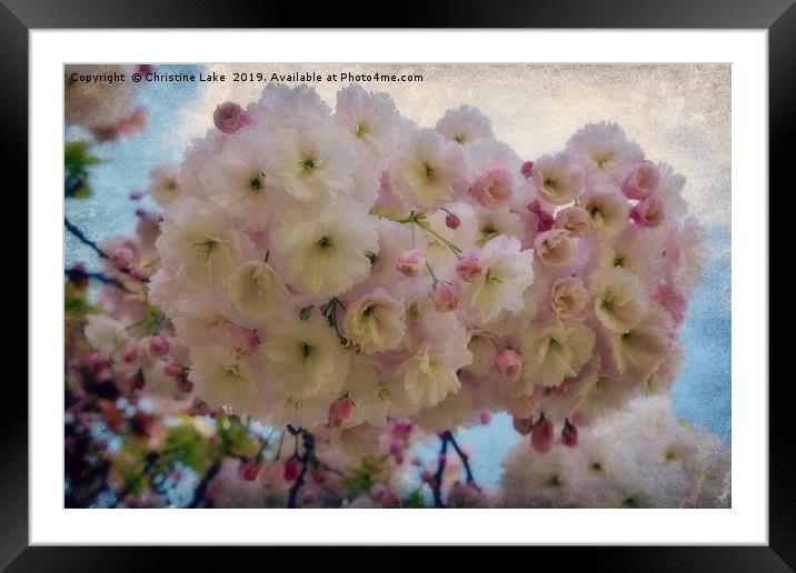 The Beauty Of Spring Framed Mounted Print by Christine Lake