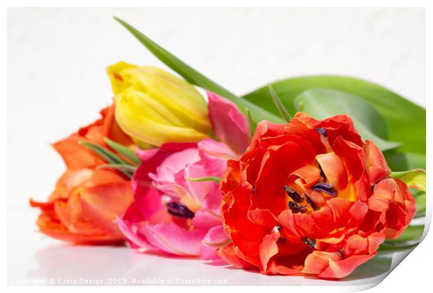 Tulips: Primus unter Pares Print by Kasia Design