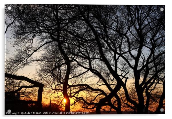 Sunset at Greenwich Park, London, England   Acrylic by Aidan Moran