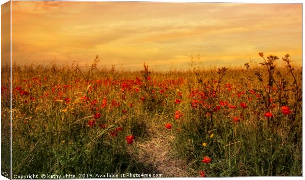 red poppies,Sunset on a field of poppies in cornwa Canvas Print by kathy white