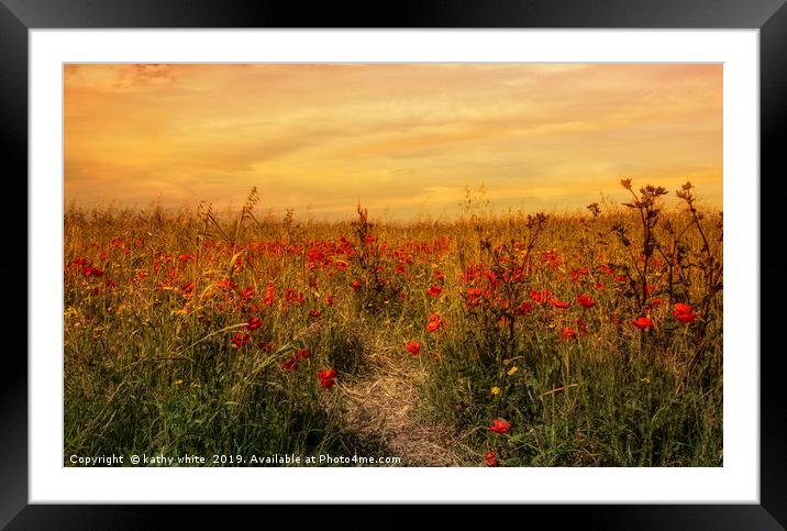 red poppies,Sunset on a field of poppies in cornwa Framed Mounted Print by kathy white