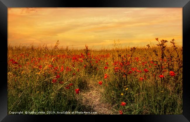 red poppies,Sunset on a field of poppies in cornwa Framed Print by kathy white