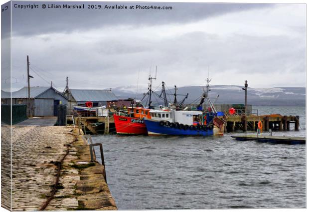 Cromarty Harbour.  Canvas Print by Lilian Marshall
