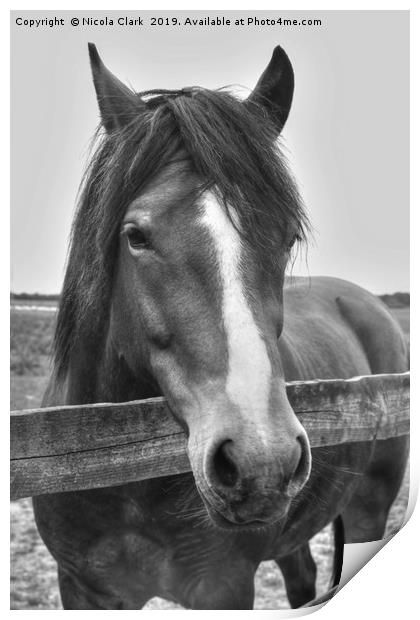 Beautiful horse looking over a fence Print by Nicola Clark