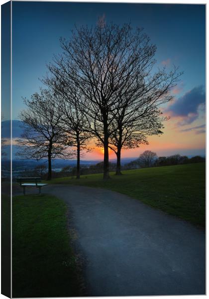 Sunset at Ravenhill park Canvas Print by Leighton Collins