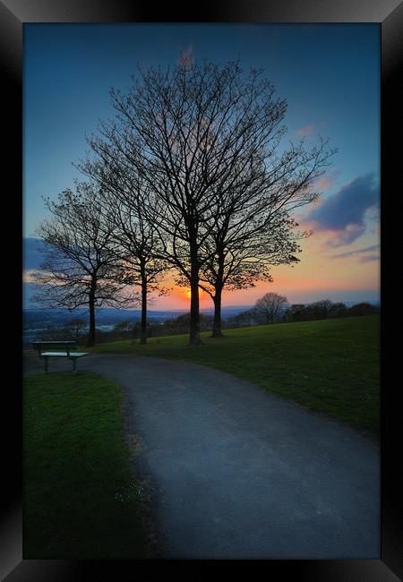 Sunset at Ravenhill park Framed Print by Leighton Collins