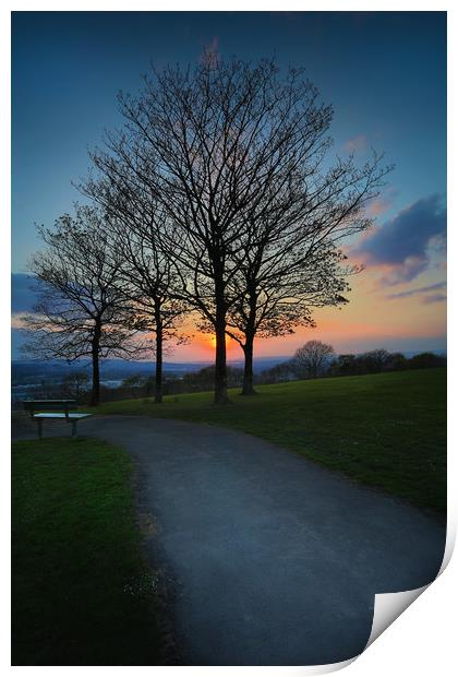 Sunset at Ravenhill park Print by Leighton Collins