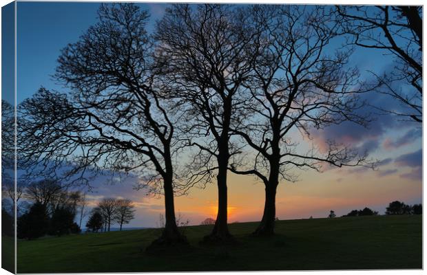 Ravenhill park sunset Canvas Print by Leighton Collins