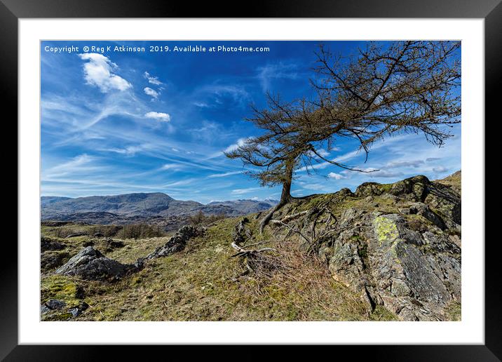 Arnside to Birk Fell Framed Mounted Print by Reg K Atkinson