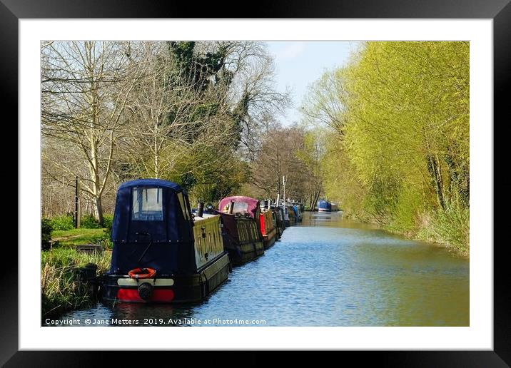        All Moored Up                         Framed Mounted Print by Jane Metters