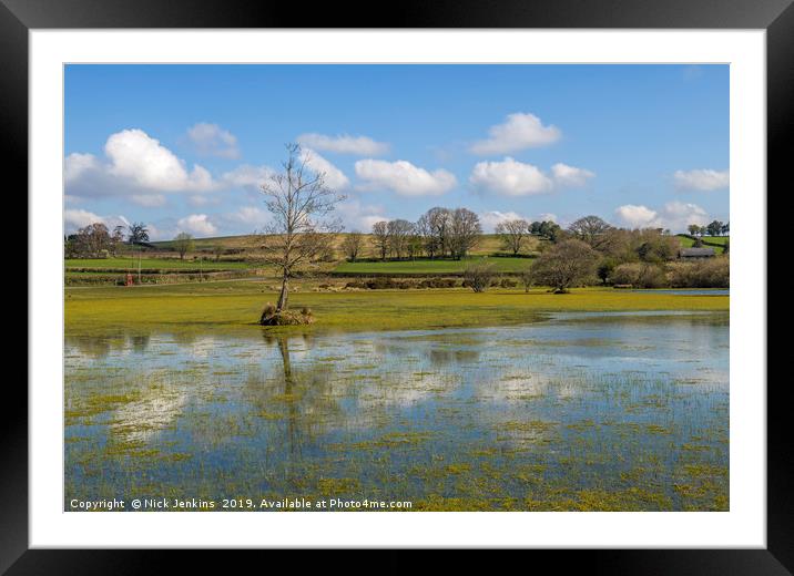 Brechfa Pool near Brecon in Powys in Spring.  Framed Mounted Print by Nick Jenkins