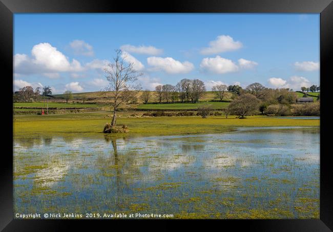 Brechfa Pool near Brecon in Powys in Spring.  Framed Print by Nick Jenkins