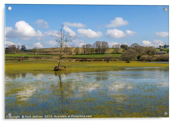 Brechfa Pool near Brecon in Powys in Spring.  Acrylic by Nick Jenkins