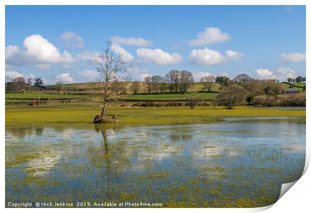 Brechfa Pool near Brecon in Powys in Spring.  Print by Nick Jenkins