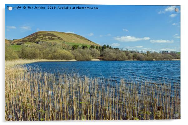 Llanbwchllyn Lake Radnorshire Powys Acrylic by Nick Jenkins