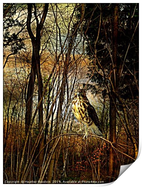 Tangle Wood Print by Heather Goodwin