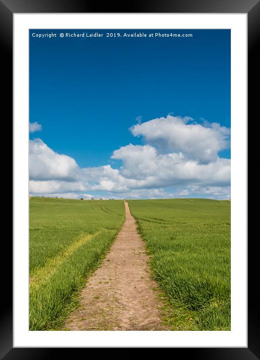 Path to the Horizon Framed Mounted Print by Richard Laidler