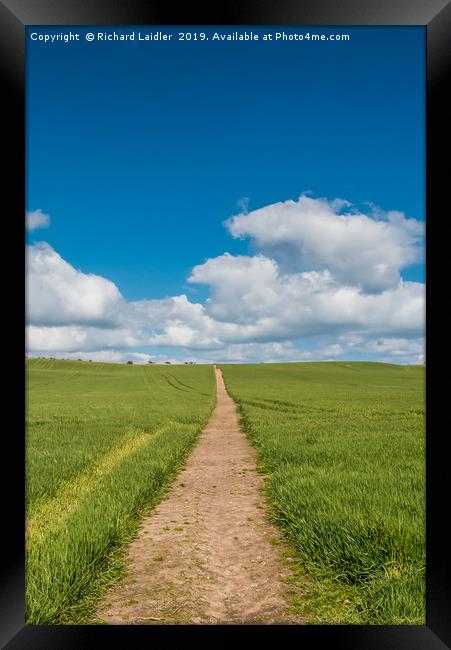 Path to the Horizon Framed Print by Richard Laidler