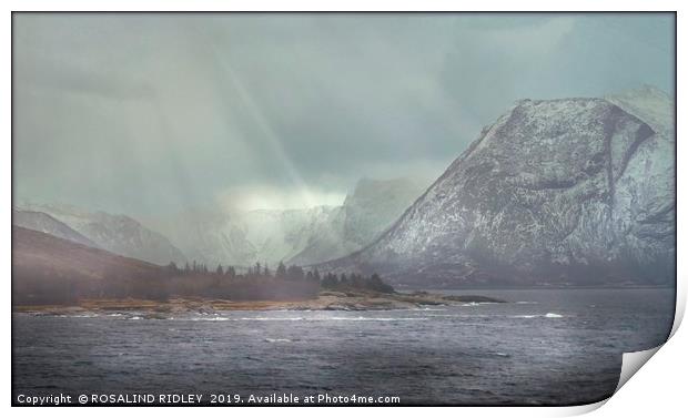 "Arctic Storm" Print by ROS RIDLEY