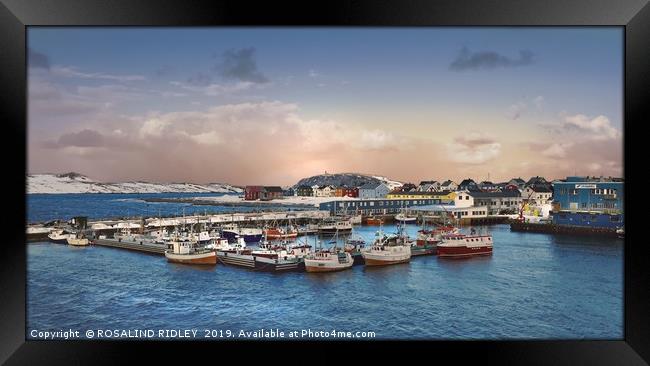 "The Port of Vardo" Framed Print by ROS RIDLEY