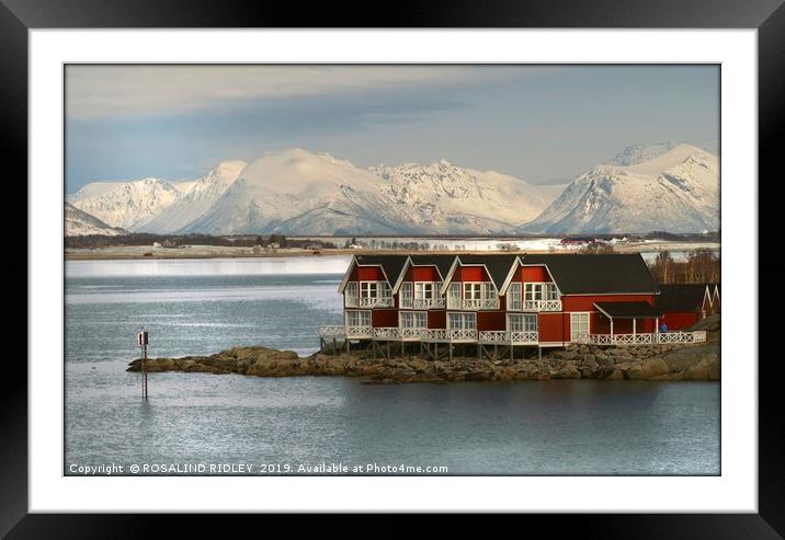 "Blue hour at Stokmarknes NorwaY" Framed Mounted Print by ROS RIDLEY
