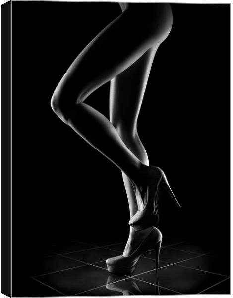Sensual Woman Outlines 1 Canvas Print by Johan Swanepoel