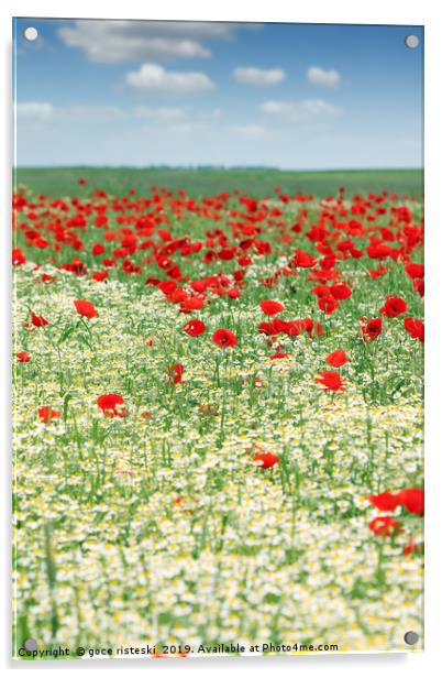 spring meadow with wildflowers and blue sky Acrylic by goce risteski