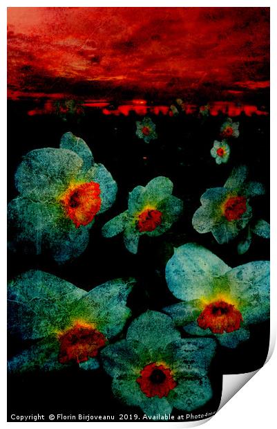 Narcissuses In The Darkness Print by Florin Birjoveanu