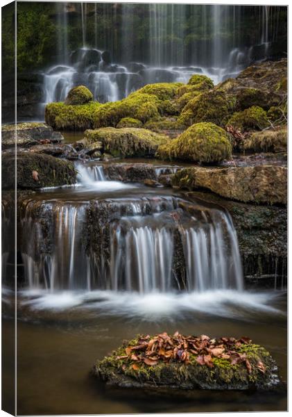 Scaleber Falls in Yorkshire Dales Canvas Print by George Robertson
