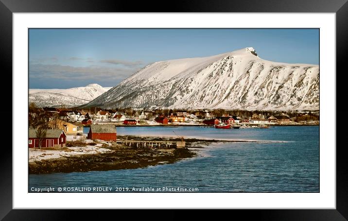 "Risoyhamn Norway" Framed Mounted Print by ROS RIDLEY