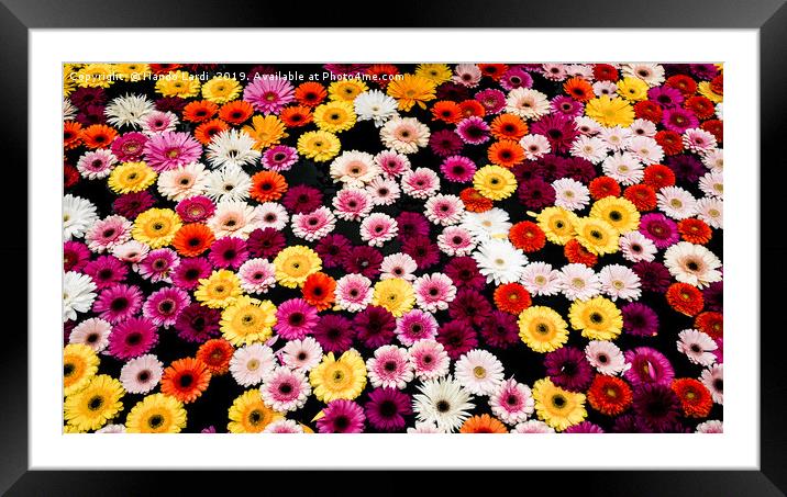 Fountain Flowers Framed Mounted Print by DiFigiano Photography