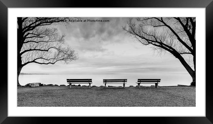 Front Row Seats Framed Mounted Print by DiFigiano Photography