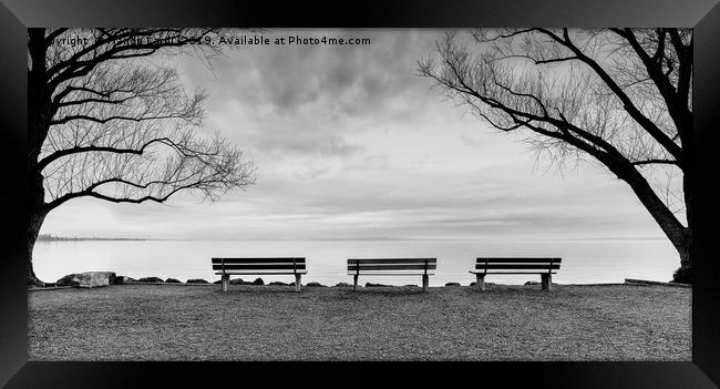 Front Row Seats Framed Print by DiFigiano Photography