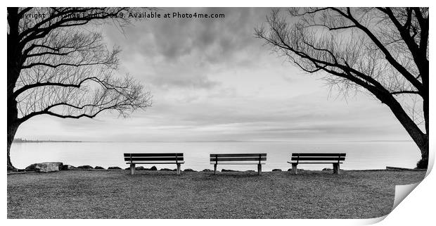 Front Row Seats Print by DiFigiano Photography