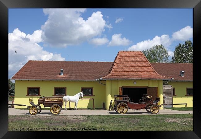 Lipizzaner horse and carriage on farm Framed Print by goce risteski