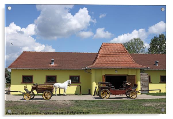 Lipizzaner horse and carriage on farm Acrylic by goce risteski