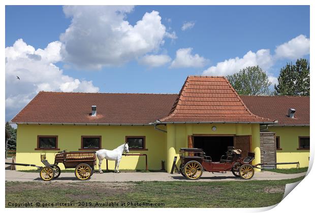 Lipizzaner horse and carriage on farm Print by goce risteski