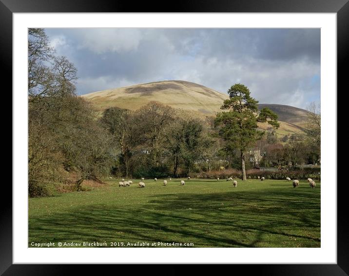  A rural idyll...  Framed Mounted Print by Andy Blackburn